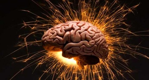 6 фактов о работе мозга