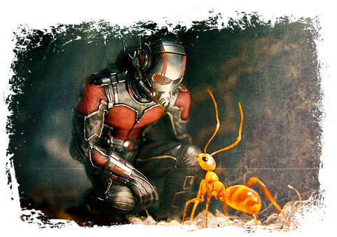 Третий фильм про Человека-муравья увидит свет